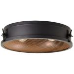 Brilliant Zois Luz de techo Metal Negro | 420mm - Apta para 2x E27