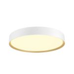 SLV Decona 42 Luz de techo Aluminium Blanco Esférica 23W 2730lm - 930-940 CCT | IP44 - Mejor Reproducción De Color - Regulable 