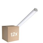 Multipack 12x Philips Pantalla LED Estanca WT060C 28W 3400lm - 840 Blanco Frio | 150cm