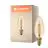 Ledvance Vintage 1906 LED E14 Vela Oro 3.4W 250lm - 822 Luz muy Cálida | Regulable - Reemplazo 25W