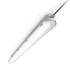 Philips Pantalla LED Estanca CoreLine WT120C G2 29W 4000lm - 840 Blanco Frio | 120cm 