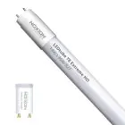 Noxion Tubo LED T8 Avant Extreme (EM/Mains) High Output 16.5W 2650lm - 865 Luz De Día | 150cm - Reemplazo 58W